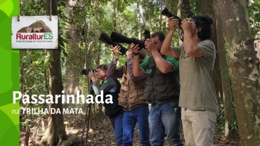 Passarinhada RuralturES | TRILHA DA MATA